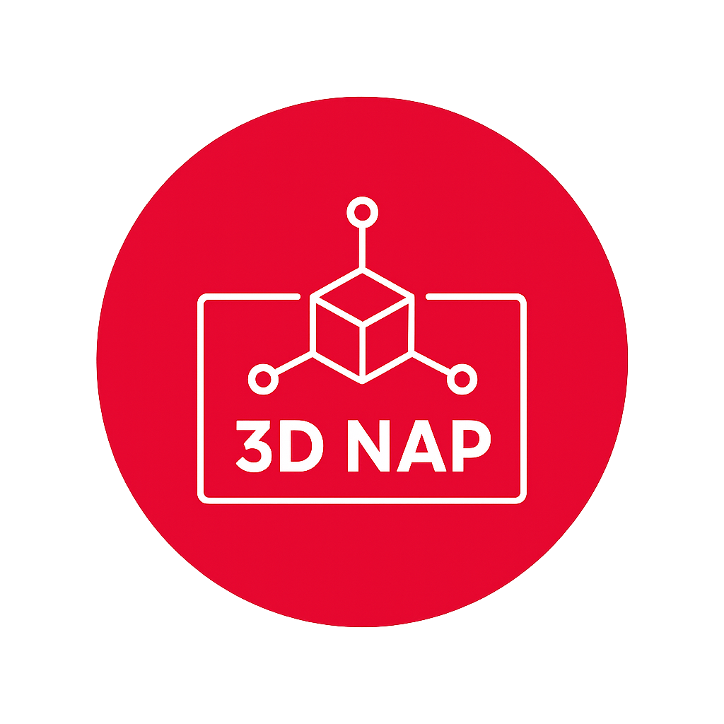 Logo 3D NAP